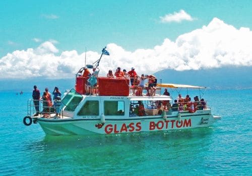 glass bottom boat trip